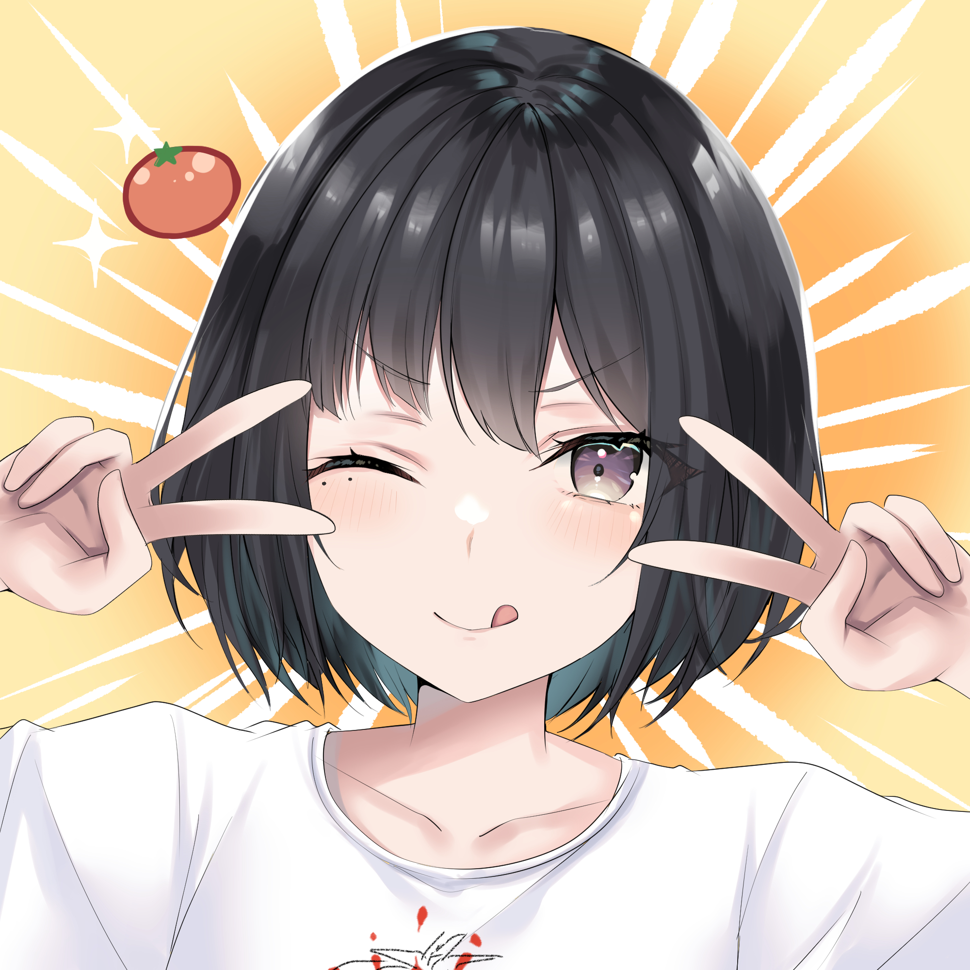 赤茄子ひふみ プロフィール画像
