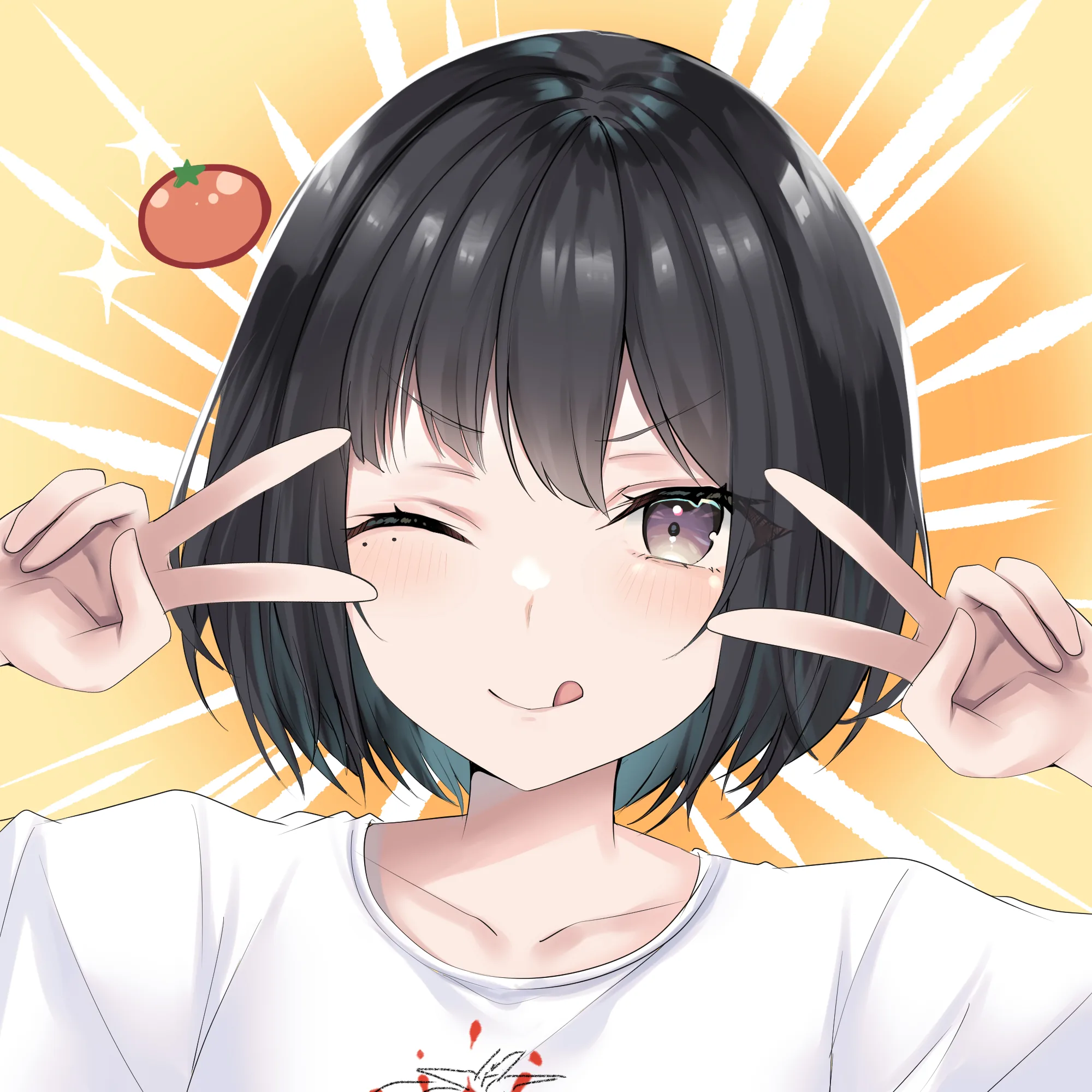 赤茄子ひふみ プロフィール画像